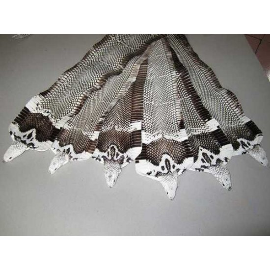 Natural genuine head cobra snake skin leather Pelt width Width 9~19CM ( 3.5"~7.5" ) Natural genuine head cobra snake skin leather Pelt width Width 9~19CM ( 3.5"~7.5" )