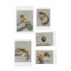 Hermes Chaine d'Ancre ear ring S925