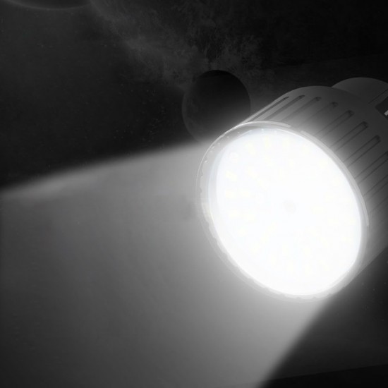 Professional working LED light 110V-220V