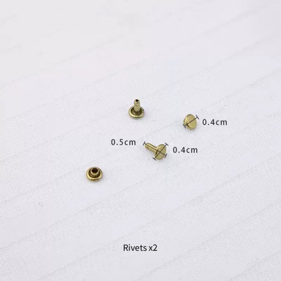 Bag repair hardware, Coach Parker Camellia