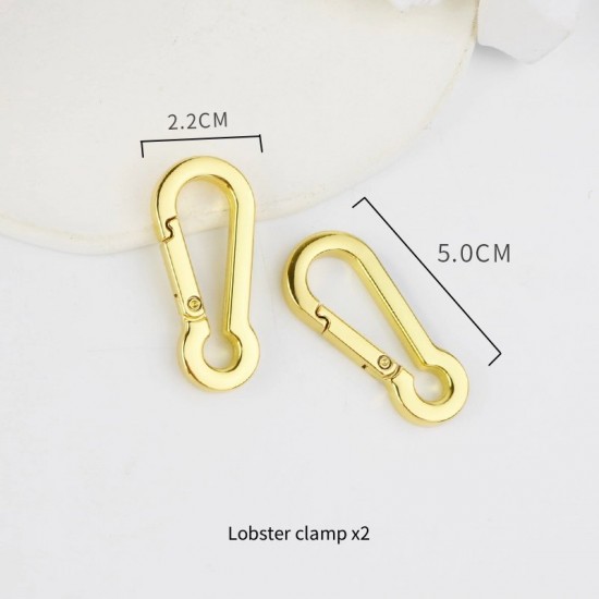 Bag repair hardware, Dior Montaigne
