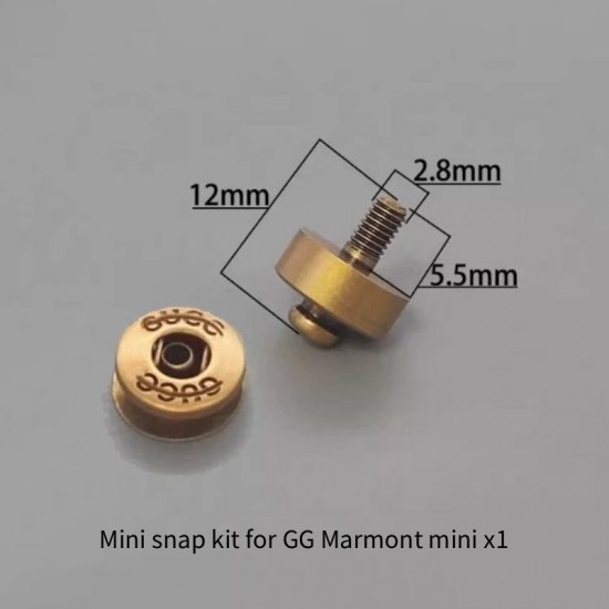 Bag repair hardware, Gucci GG Marmont and mini Bag repair hardware, Gucci GG Marmont and mini