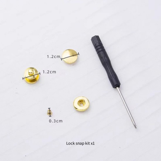 Bag repair hardware, LV Dauphine
