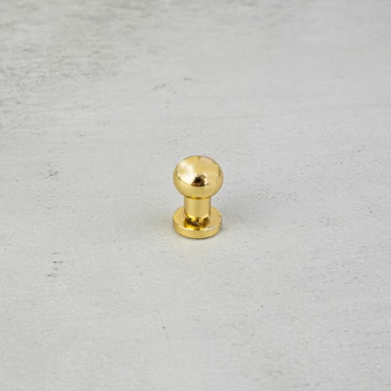 Bag repair hardware, LV Delightful, 2 studs