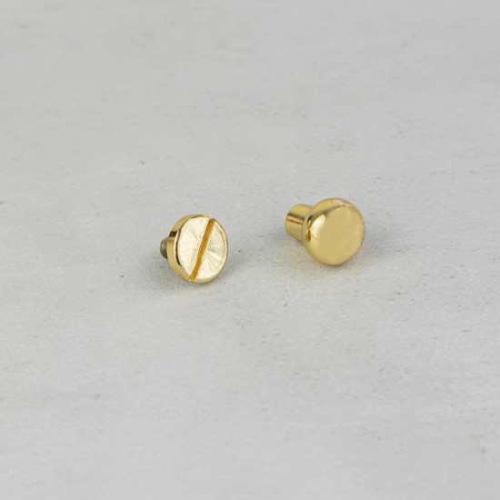 Bag repair hardware, LV Delightful, 2 studs