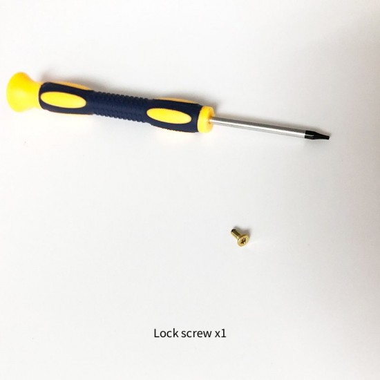 Bag repair hardware, LV Metis Pochette