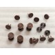 Loewe shank button No.1, 5pc/lot, 17mm