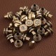 Solid brass bullet shell Chicago screw 10pc/lot Solid brass bullet shell Chicago screw 10pc/lot