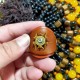 Solid brass bullet shell Chicago screw 10pc/lot Solid brass bullet shell Chicago screw 10pc/lot