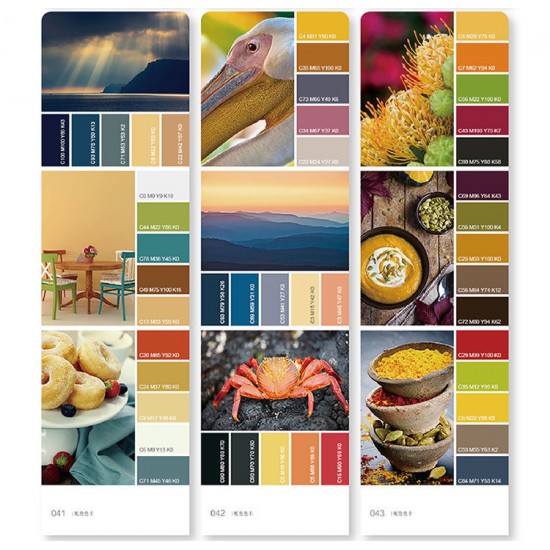 Color matching card Color matching card