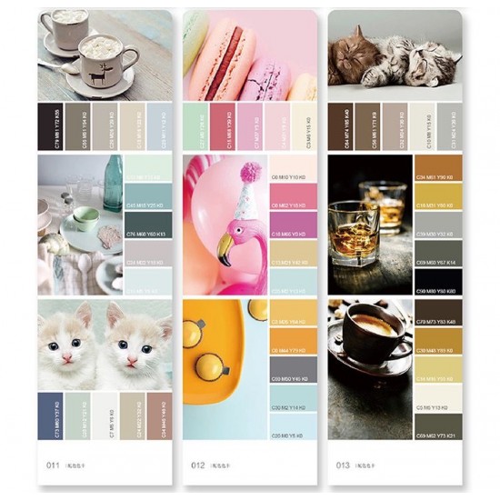 Color matching card Color matching card