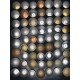 Handmade real coin concho buttons 10pc/lot