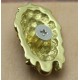 Leather wallet bag Concho buttons, Pure Brass Skeleton chiefs, screws on the back