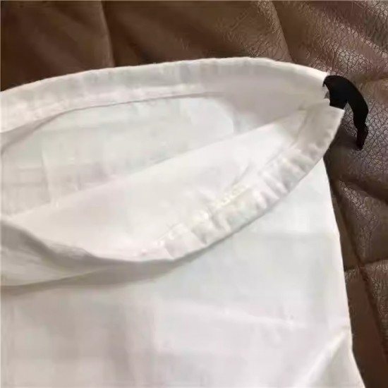 Celine dust bag