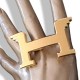 Hermes Pegase waist belt buckle 32mm 0111 Hermes Pegase waist belt buckle 32mm 0111