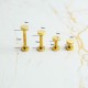 High quality stainless steel Chicago screw, 5pc/lot