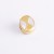 Gold-white shell 