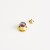 Gold-colorful shell 