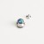 Silver-abalone shell 