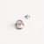 Silver-colorful shell 