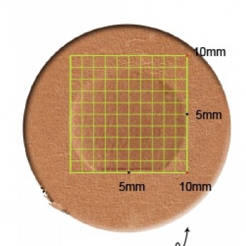 leathercraft tool leather stamp Craft Japan figure Stamps F995