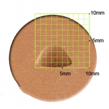 leathercraft tool leather stamp Craft Japan figure Stamps F895