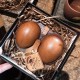 World debut - Egg case sleeve mold