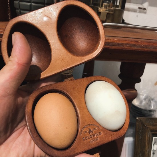 World debut - Egg case sleeve mold