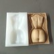 Naked woman body mold Naked woman body mold
