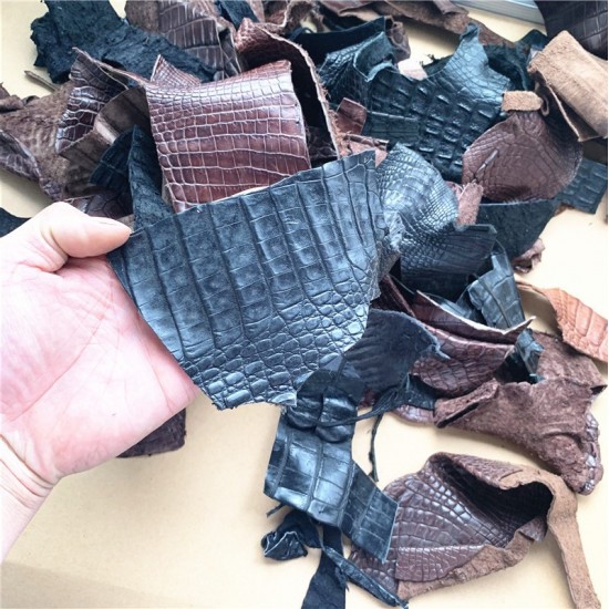 Crocodile skin scraps 0.5kg