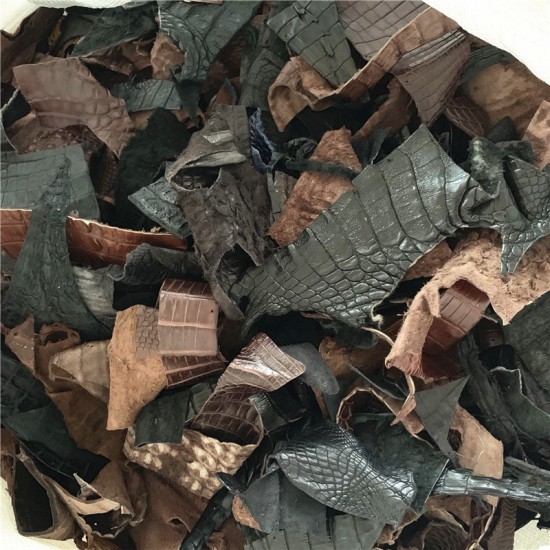 Crocodile skin scraps 0.5kg Crocodile skin scraps 0.5kg