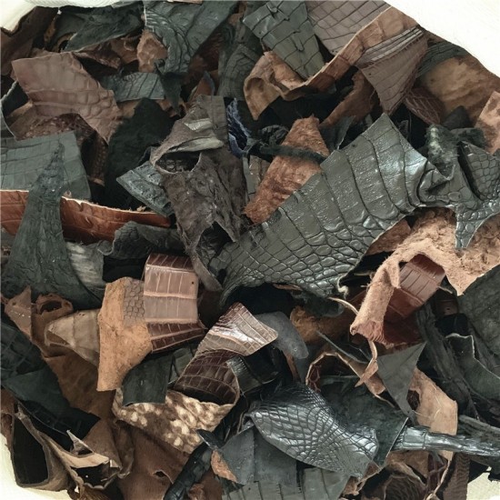 Crocodile skin scraps 0.5kg