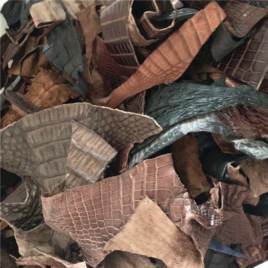 Crocodile skin scraps 0.5kg