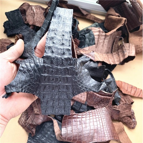 Crocodile skin scraps 0.5kg