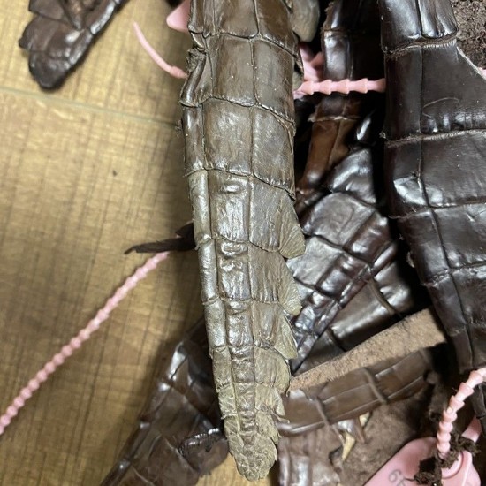 Crocodile tail pieces Crocodile tail pieces