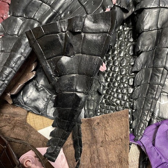 Crocodile tail pieces Crocodile tail pieces