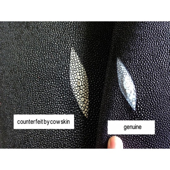 Genuine Stingray Skin Leather Hide 8" x 18.5"(20cm x 47cm)