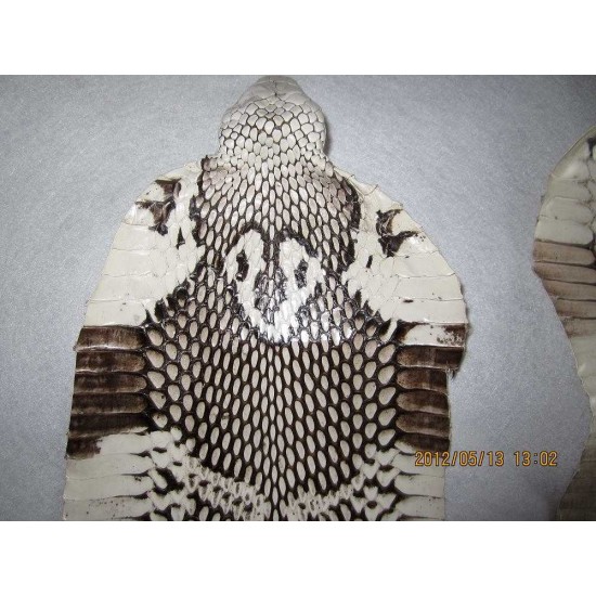Natural genuine head cobra snake skin leather Pelt width Width 9~19CM ( 3.5"~7.5" )