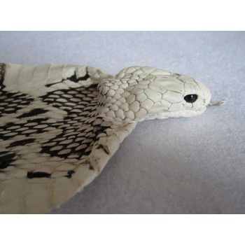 Natural genuine head cobra snake skin leather Pelt width Width 9~19CM ( 3.5"~7.5" )