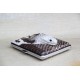 Natural genuine head cobra snake skin leather Pelt width Width 9~19CM ( 3.5"~7.5" )