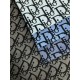 DIOR denim fabric