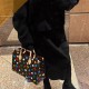 LV bag PU 6