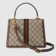Gucci Ophidia GG bag material kit, Free shipping worldwide Gucci Ophidia GG bag material kit, Free shipping worldwide