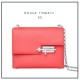 Professional material kit, Hermes Verrou mini, Free shipping worldwide