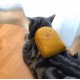 Catkeeper dogkeeper favourite pet backpack pattern PDF instant download SLG-105 Catkeeper dogkeeper favourite pet backpack pattern PDF instant download SLG-105