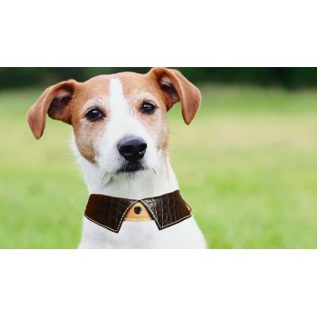 With 40 pictures detailed instruction Dog collar cat collar pattern pdf download SLG-117