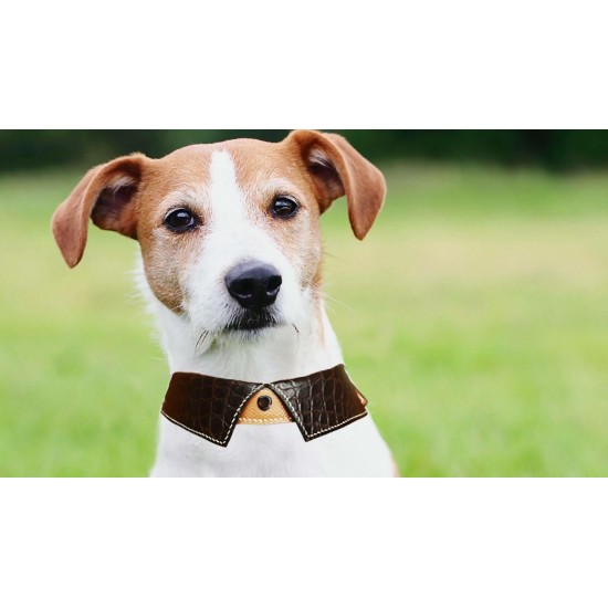 With 40 pictures detailed instruction Dog collar cat collar pattern pdf download SLG-117 With 40 pictures detailed instruction Dog collar cat collar pattern pdf download SLG-117