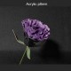 With instruction - Laser cut acrylic pattern Carnations flower pattern A-119 With instruction - Laser cut acrylic pattern Carnations flower pattern A-119