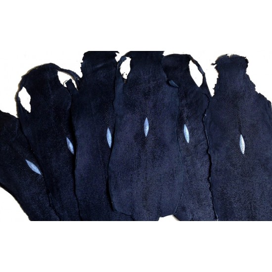 Genuine Stingray Skin Leather Hide 8" x 18.5"(20cm x 47cm) Genuine Stingray Skin Leather Hide 8" x 18.5"(20cm x 47cm)